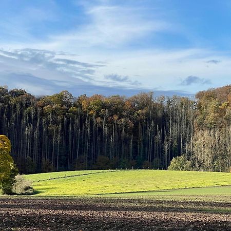 Ferienhaus Kleine Auszeit In Der Natur Mit Kamin, Yogamatten, Schoene Kueche Extertal Zewnętrze zdjęcie